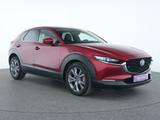 Mazda CX-30 Selection HeadUp|BOSE|LED|Kamera|ACC|SHZ - Mazda CX-30 Gebrauchtwagen in Frankfurt