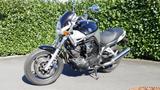 Yamaha BT 1100 Bulldog - YAMAHA BT 1100 BULLDOG