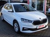 Skoda Fabia TSI 116PS DSG DESIGN LED NWW ALU PDC - Skoda Fabia: Tsi Dsg