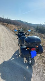 Triumph Tiger - Offers matching your search criteria