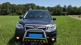 Subaru Forester 2.0X Exclusive Lineartronic Exclusive - Subaru aus 2014