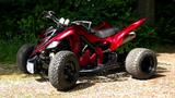 Yamaha YFM 700R Raptor von German Custom Crew / LoF Zul - Offers