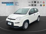 Fiat Panda MY24 Hybrid 1.0 GSE 70PS KLIMAANLAGE*RADIO - Fiat Panda Gebrauchtwagen in Bremen
