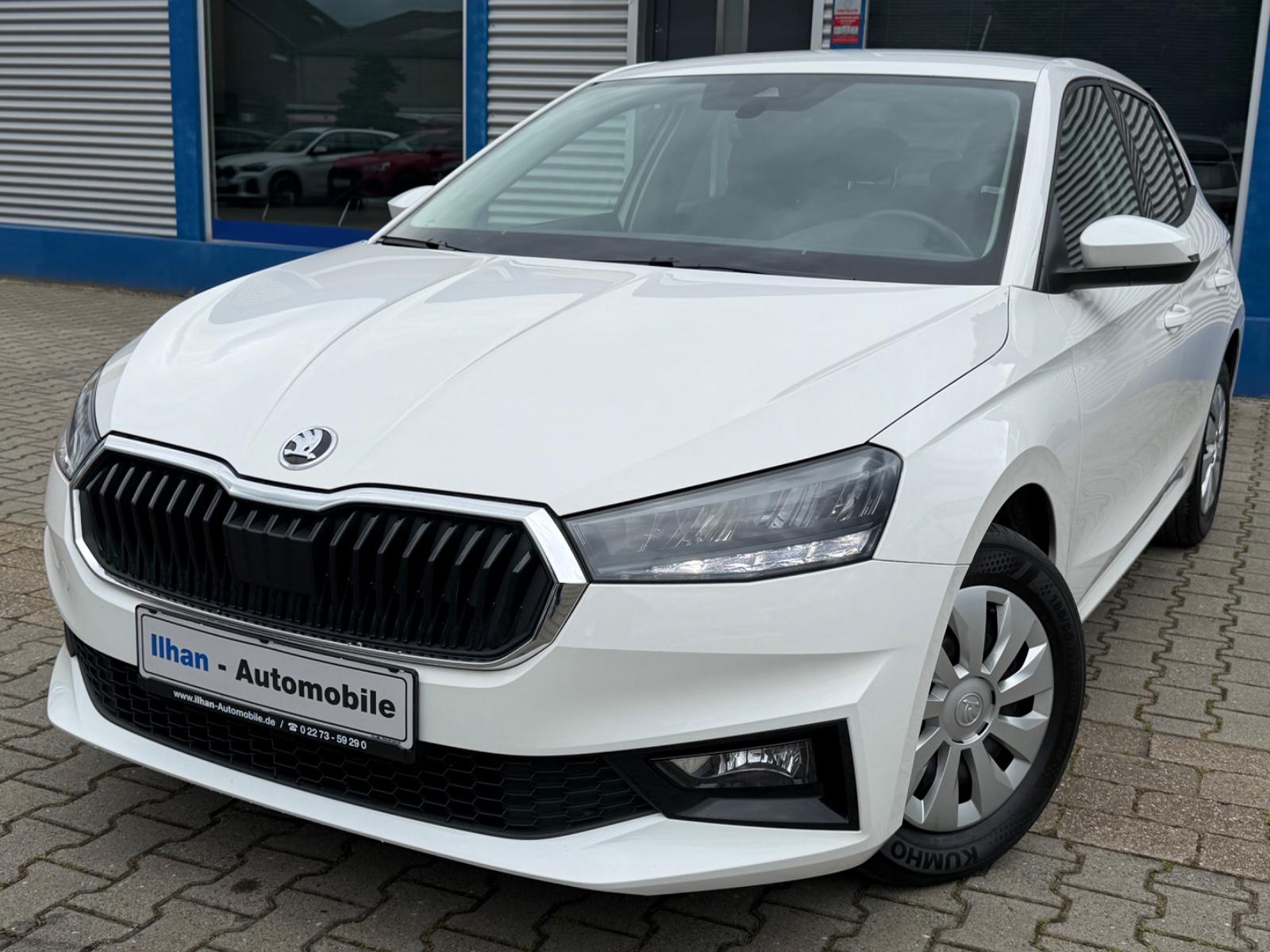 Skoda Fabia Selection*PDC*ACC*NAV*VIRT*KLIMA*SHZG*TEMP