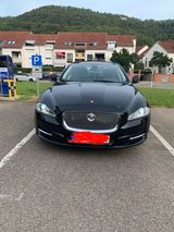 Jaguar XJ X351 - Jaguar XJ aus 2011