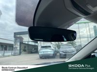Skoda Kamiq - Vorschau Bild 14