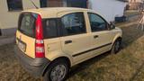 Fiat Panda 2010-108.000 km-4-Türer-40 kw-sparsam - Fiat Panda: 4.4