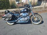 Harley-Davidson Sportster 883 *Hugger* - HARLEY-DAVIDSON 883 HUGGER