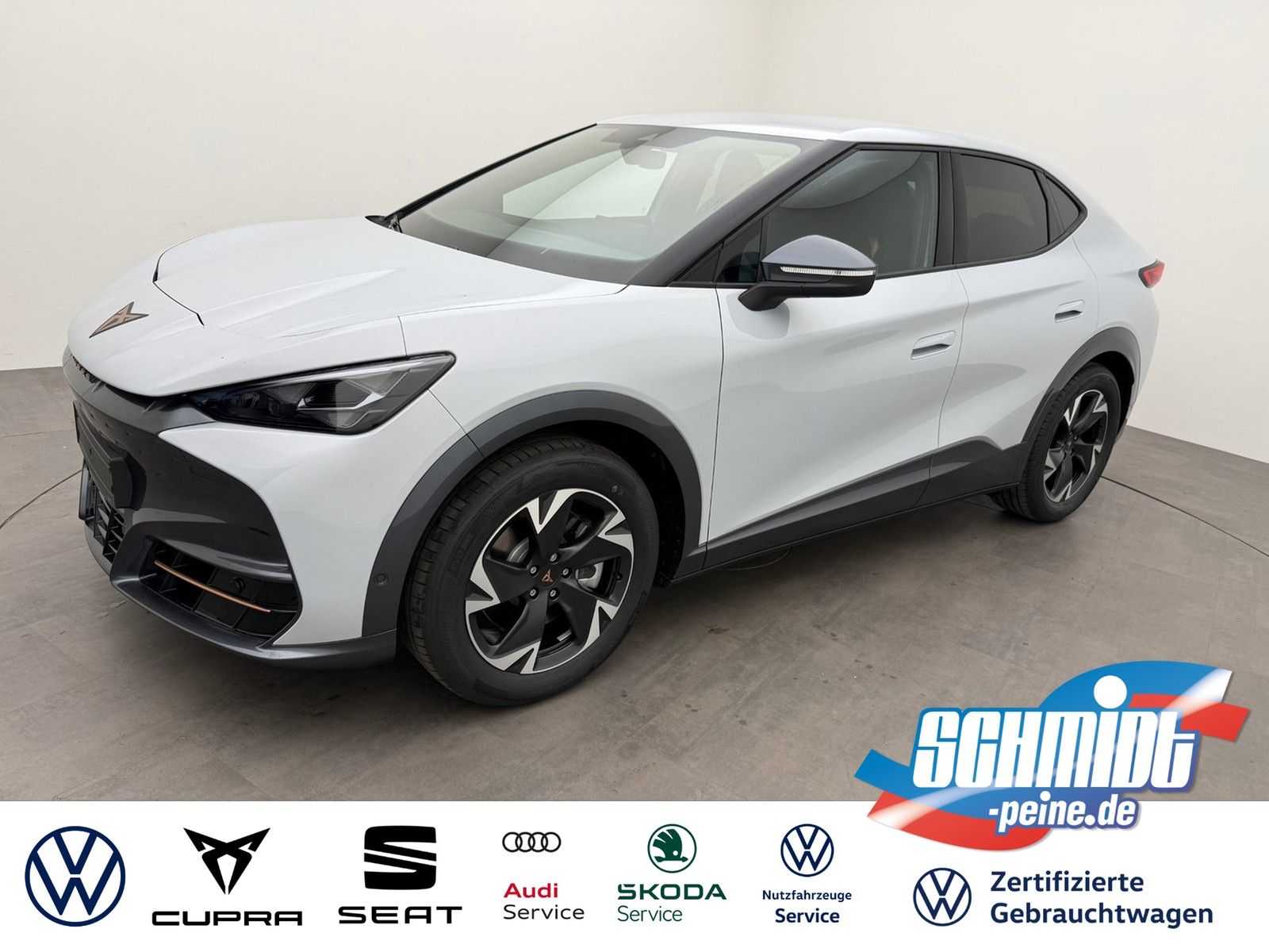 Cupra Tavascan Endurance 286PS 77kWh DriveWärmep