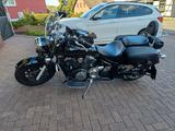 Yamaha XVS 1300 MidnigtStar - YAMAHA CHOPPER XVS 1300
