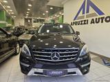 Mercedes-Benz MERCEDES-BENZ ML 250 BlueTEC 4Matic Premium - Mercedes-Benz ML 250 aus 2015