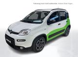 Fiat Panda 1.0 City Life Facelift SHZ,Klima,BT,DAB - Fiat Panda Gebrauchtwagen