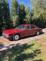 Jaguar XJR XJ40 1994 4.0 TWR - Jaguar XJR: 4.0