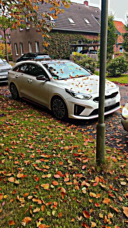Image of Kia Other