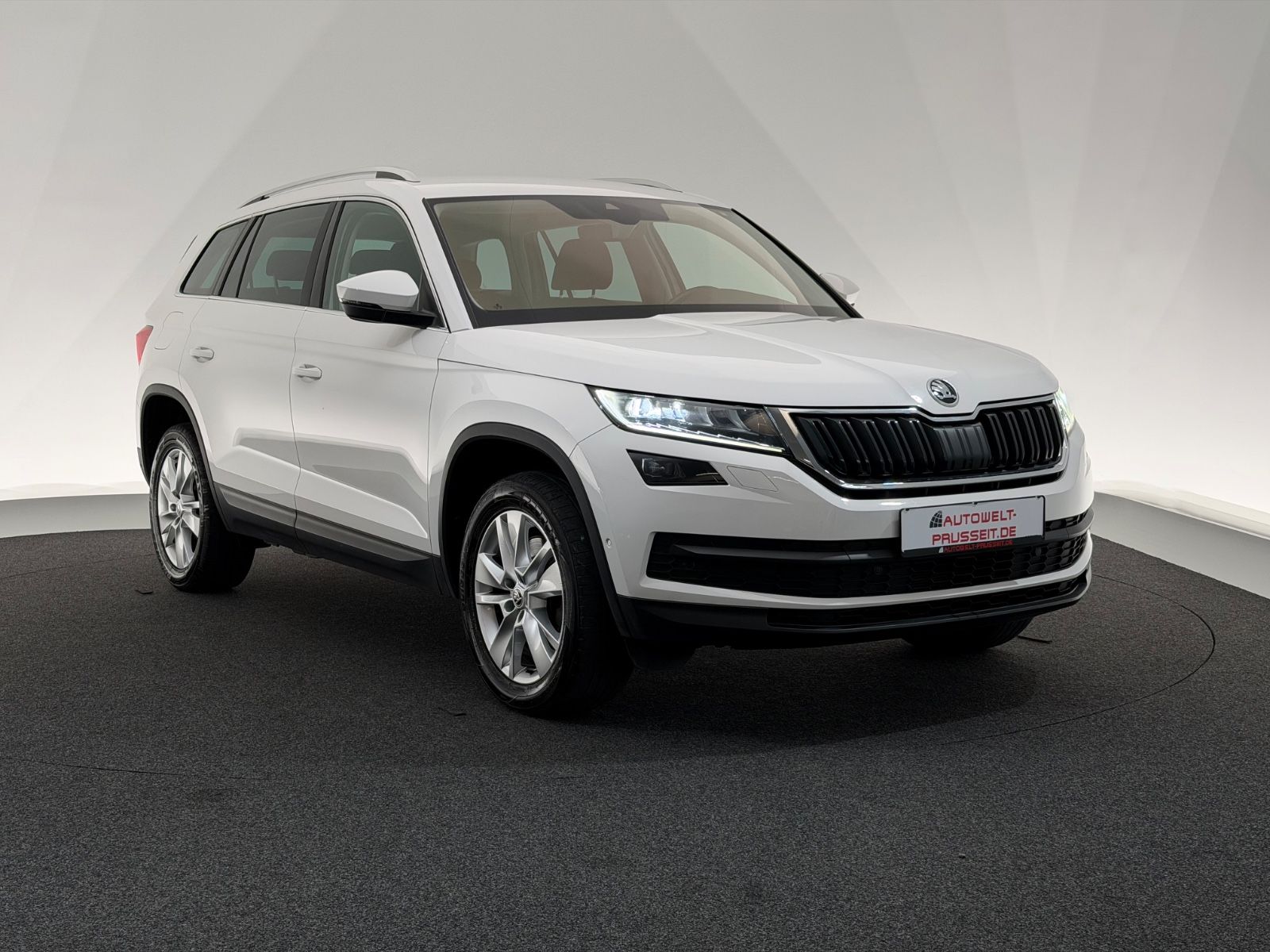 Gebrauchtwagen Skoda Kodiaq Kodiaq 2.0 TSI 4×4*STYLE*LED-ACC-MEMO-KESSY-LHZ in Horb am Neckar