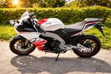 Aprilia rs 125 2025 tiefergelegt  - APRILIA RS 125 2T