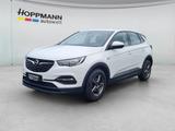 Opel Grandland X Edition*AHK*SHZ*LHZ*PDC*8Fach bereif - gebrauchte Opel Grandland (X) aus dem Jahr 2017