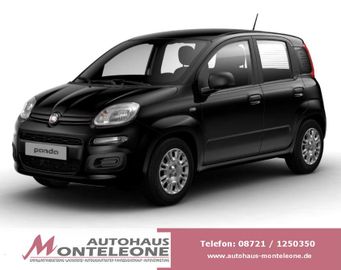 Fiat Panda MY25 Pandina ICON Hybrid |