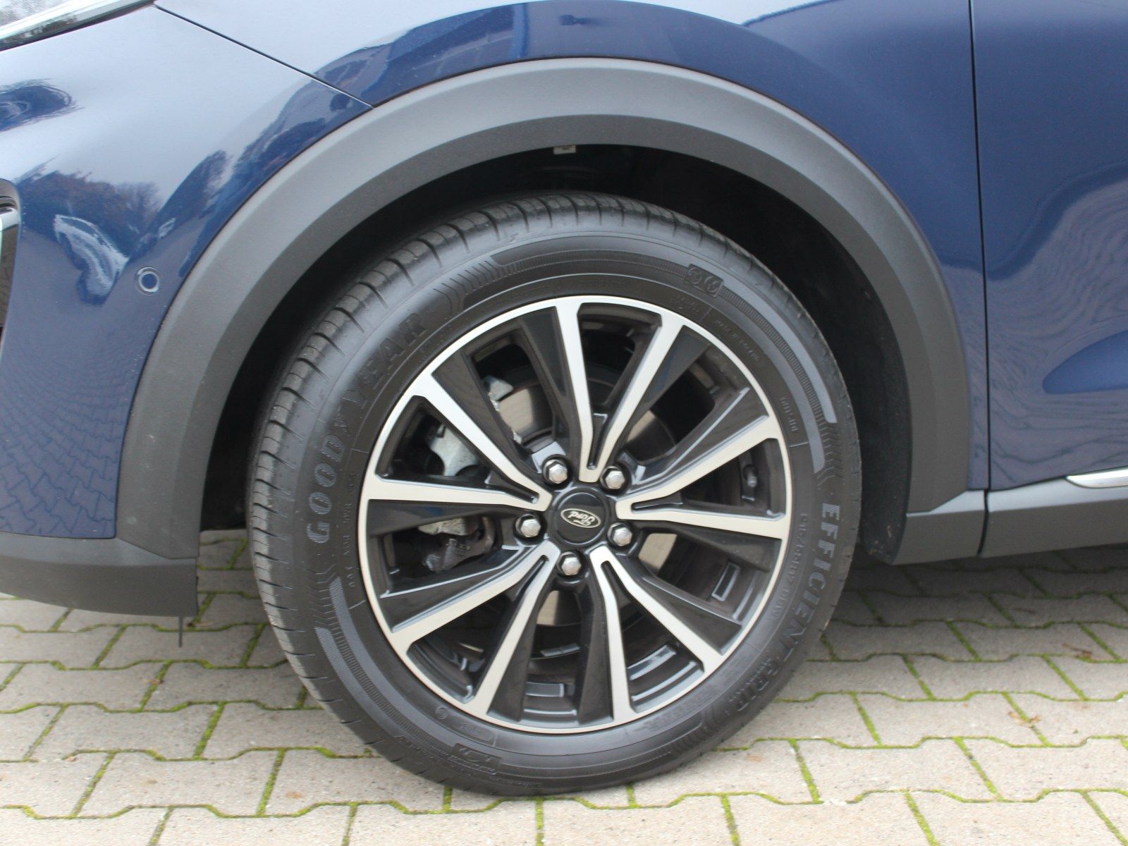 Fahrzeugabbildung Ford Puma Titanium 1,0 EcoBoost Start/Stopp