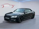 Audi S5 Cabriolet 3.0 TFSI - Audi S5 mit Benzin-Antrieb: Cabrio