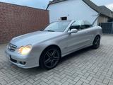 Mercedes-Benz Mercedes Benz clk200 w209 Cabrio Kompresso... - : Cabrio, Clk 209