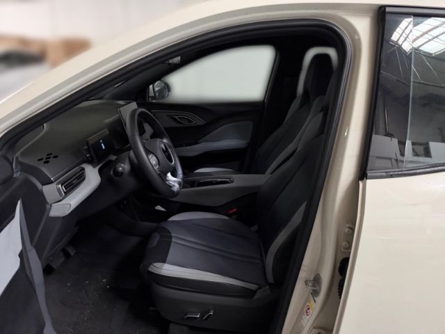 BYD DOLPHIN SURF