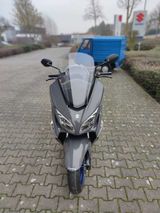 Suzuki AN 400 BURGMAN - ROLLER BURGMAN
