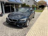 BMW 218i Cabrio - BMW Premium Selection Garantie - BMW: Premium Selection