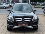 Mercedes-Benz GLK 220 CDI BlueEfficiency 4Matic - Mercedes-Benz GLK 220 aus 2012