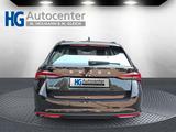 Skoda Octavia Combi 2.0 TDI DSG AHK Stdhzg. ACC 5J.Gar - Skoda Octavia Neuwagen mit Diesel-Antrieb