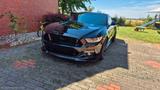 Ford Mustang GT 5.0 Kompressor Roush / Schropp - Ford Mustang: Roush