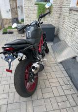 Suzuki SV 650 mit TÜV , Koffer , neue Reifen , Zubehör  - SUZUKI 650 SV N
