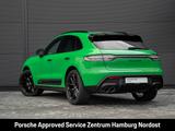 Porsche Macan GTS Panorama PDLS Plus BOSE Surround View - Porsche Macan: Grün