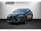Lexus NX 450h+ Executive PANO 360-GRAD-KAMERA Leder Si - Lexus in Hamburg: Nx