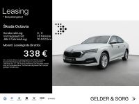 Skoda Octavia - Vorschau Bild 1