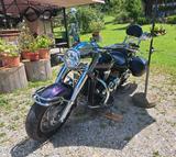 Kawasaki VN 2000 - Offers matching your search criteria