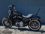 Harley-Davidson Sportster 1200 Nightster - Offers