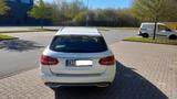 Mercedes-Benz C 250 d T EXCLUSIVE Autom. EXCLUSIVE - Mercedes-Benz C 250: Weiß