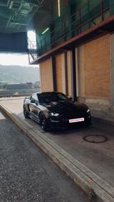 Ford Mustang GT  5.0  Us-Import 466 PS - Ford Mustang: Us