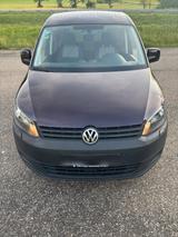 Volkswagen Caddy - Volkswagen Caddy: Limousine