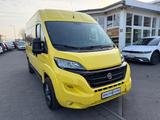 Fiat Ducato Luxusbus Panorama Modular L2H2 RS 9 Sitze - Fiat Ducato: 9