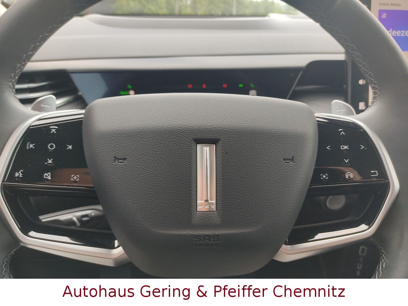 GWM Wey 03 - Bild 24