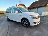 Volkswagen Maxi Generation 4 Ahk Xenon Navi 17zoll Teillede - Volkswagen: 17