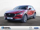 Mazda CX-30 2.5L e-SKYACTIV G 140ps SHZ NAVI ACC HUD - rote Mazda CX-30