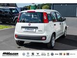 Fiat Panda MY25 Hybrid 1.0 GSE CITY-PAKET TEMPOMAT PD - Fiat Panda: 2t