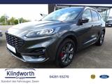 Ford Kuga 2.0 EcoBlue 4x4 Aut. ST-LINE X iACC,LED,GJR - Ford Kuga Jahreswagen mit Diesel-Antrieb