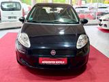 Fiat Grande Punto 1.2 8V/ Klima / 2.Hand/ TüvNEU - Fiat Grande Punto Gebrauchtwagen