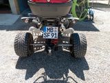 Beeline Bestia 5.5 - BEELINE BENZIN QUAD