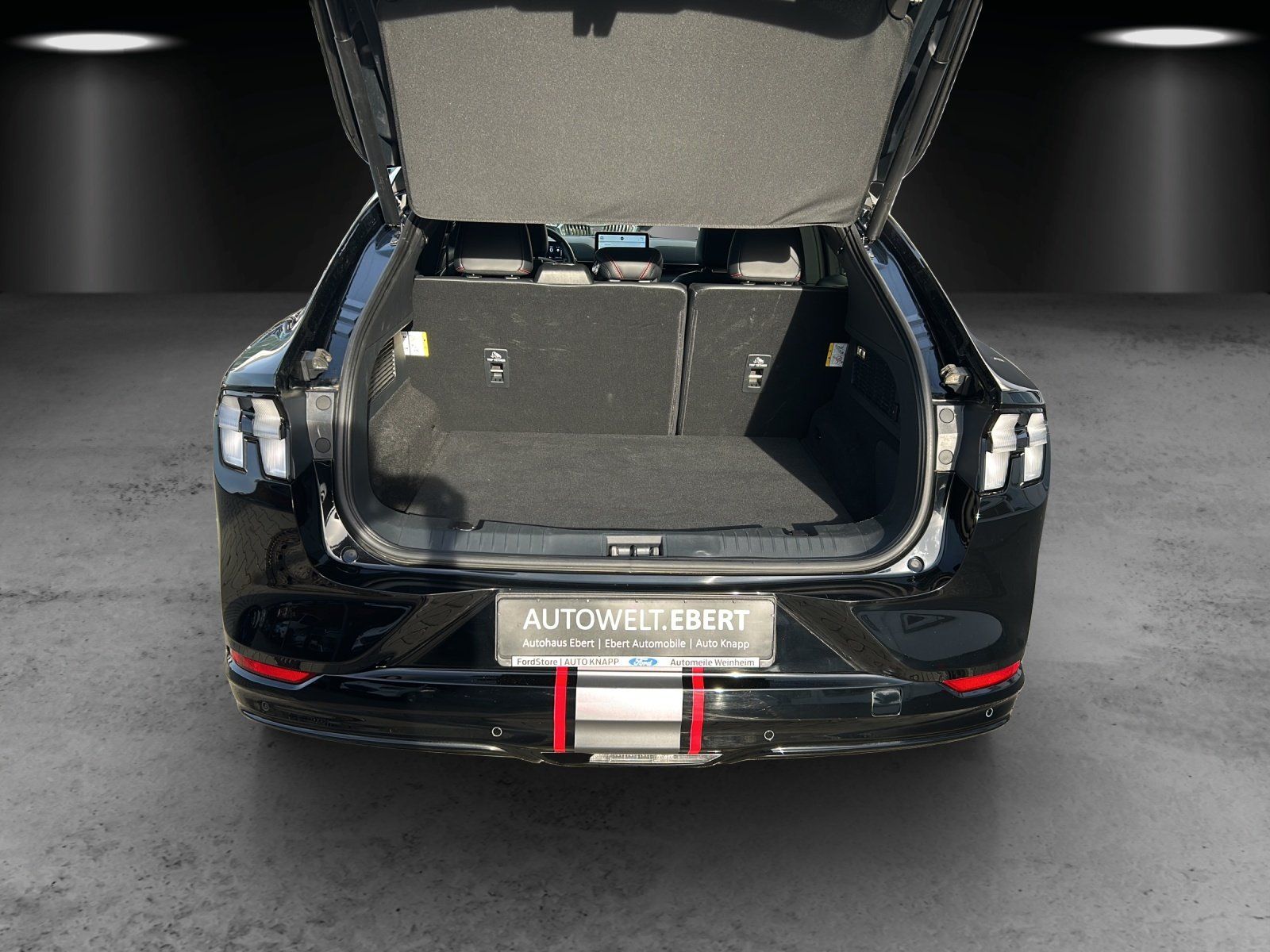 Fahrzeugabbildung Ford Mustang MACH-E AWD Aut./Matrix-LED/ACC/360°/PANO