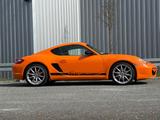 Porsche Cayman S Sport Sport
